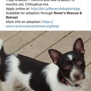 Meet your Posher, Yolanda